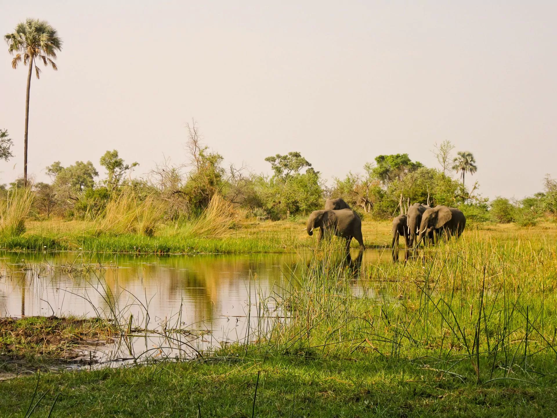 https://1001reise.net/wp-content/uploads/2024/01/Sunway-Botswana-Okavango-Wayne-Mwango-7259.jpg