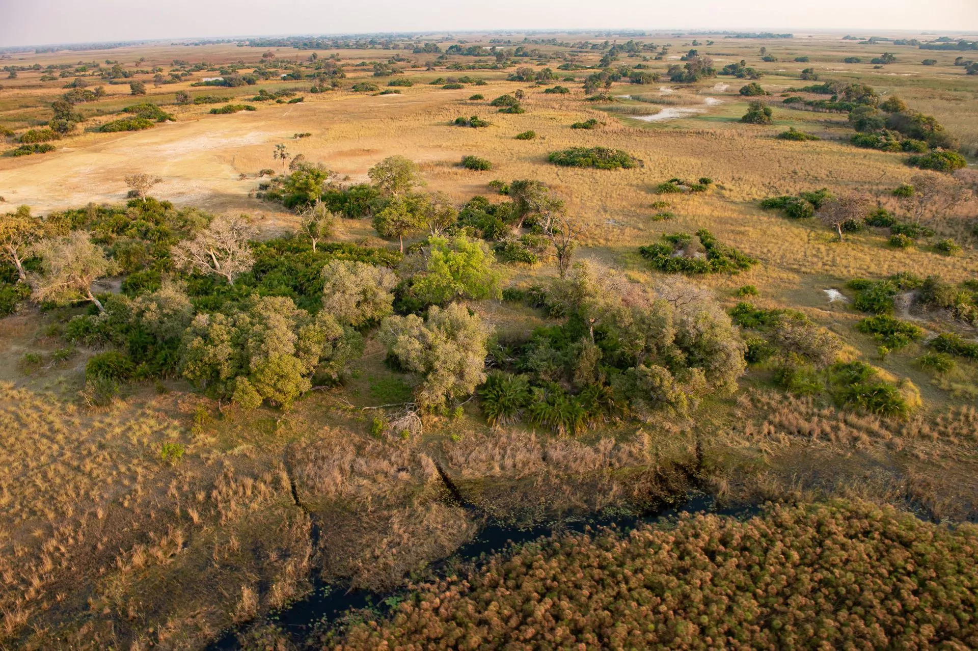 https://1001reise.net/wp-content/uploads/2024/02/Sunway-Botswana-Okavango-Guma-Lagoon-Camp-Bruce-Taylor-5474.jpg